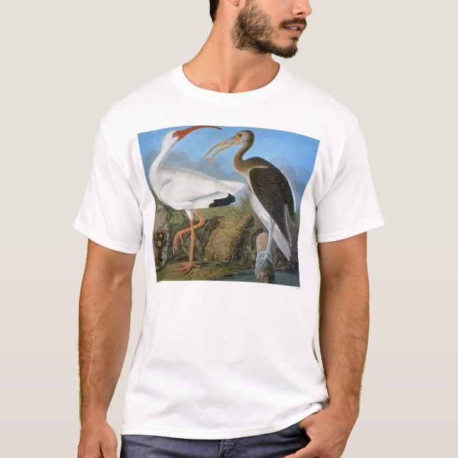 Camiseta Áudio: Ibis Branco (Frente)