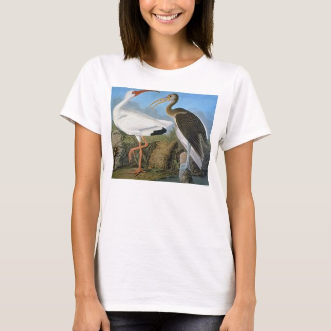 Camiseta Áudio: Ibis Branco (Frente)