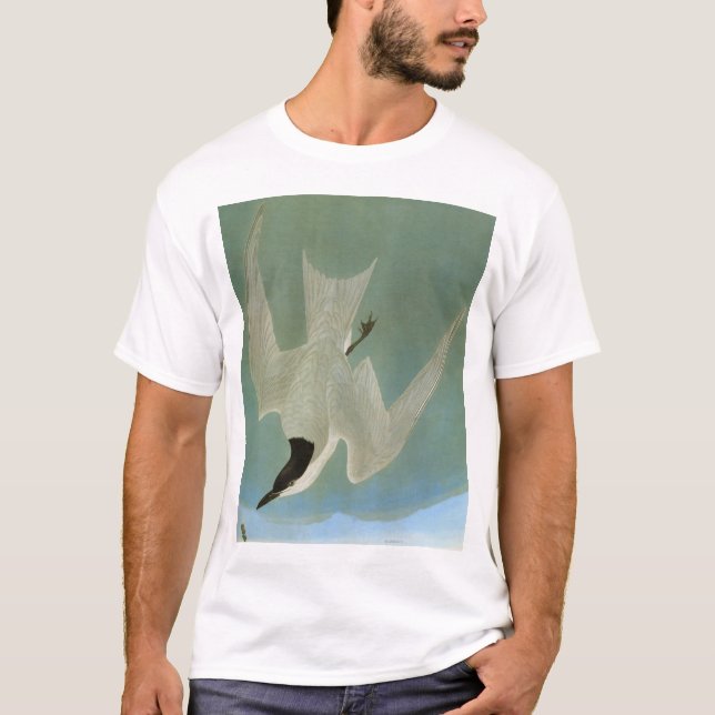 Camiseta Audubon: Andorinha-do-mar Gaivota-Faturada (Frente)