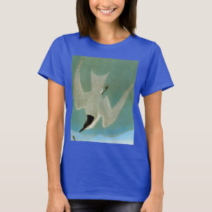 Camiseta Audubon: Andorinha-do-mar Gaivota-Faturada