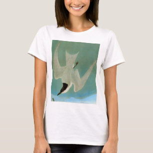 Camiseta Audubon: Andorinha-do-mar Gaivota-Faturada