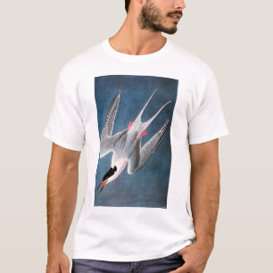 Camiseta Audubon: Andorinha-do-mar rósea