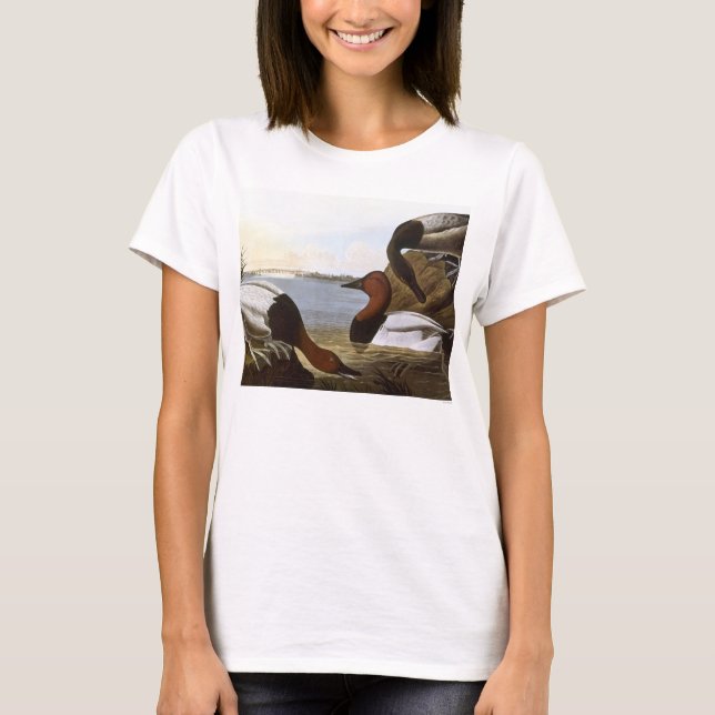 Camiseta Audubon: Canvasback (Frente)