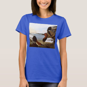 Camiseta Audubon: Canvasback