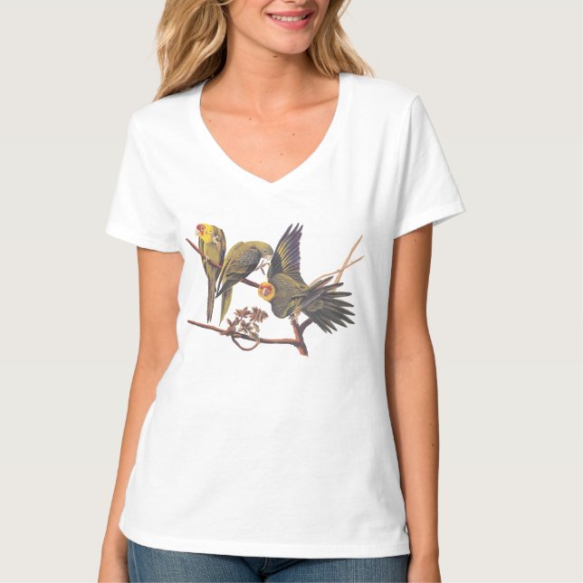 Camiseta Audubon Carolina Parakeet Trio (Frente)