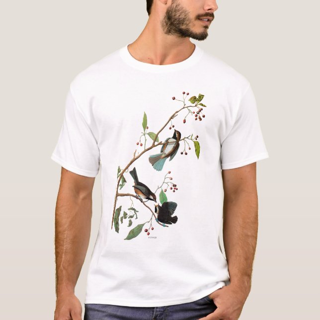 Camiseta Audubon: Chickadee (Frente)
