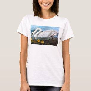 Camiseta Audubon: Cisne comum