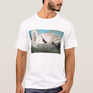 Camiseta Audubon: Cisne de trompetista