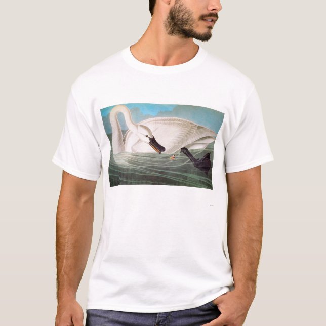 Camiseta Audubon: Cisne de trompetista (Frente)