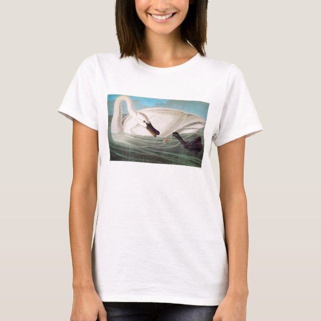 Camiseta Audubon: Cisne de trompetista (Frente)