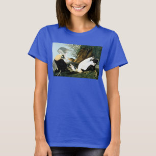 Camiseta Audubon: Eider Duck