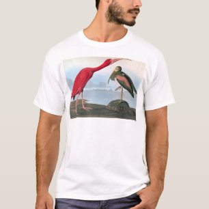 Camiseta Audubon: Escarlate dos íbis