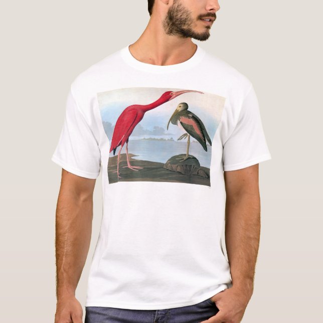 Camiseta Audubon: Escarlate dos íbis (Frente)