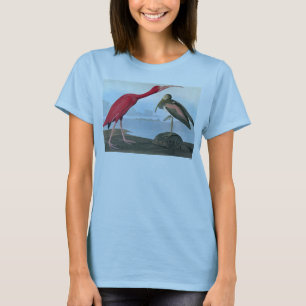 Camiseta Audubon: Escarlate dos íbis