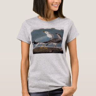 Camiseta Audubon: Gaivota Anel-Faturada