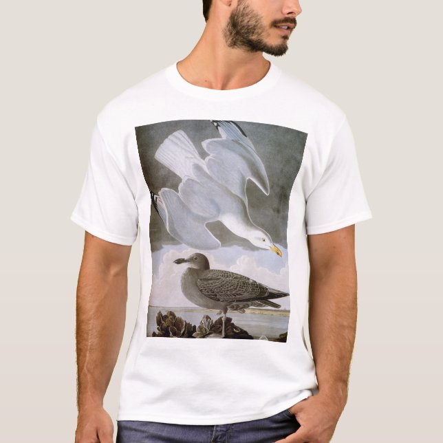 Camiseta Audubon: Gaivota de arenques (Frente)