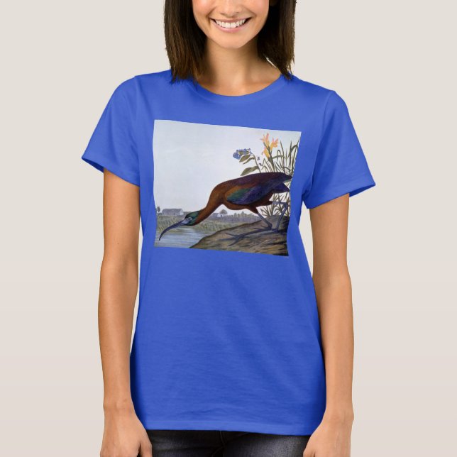 Camiseta Audubon: Ibis brilhante (Frente)