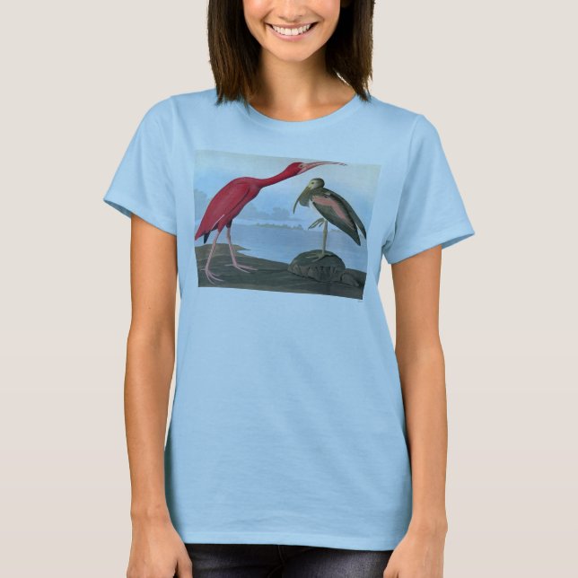 Camiseta Audubon: Ibis de escarlet (Frente)