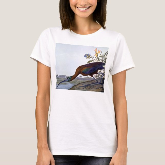 Camiseta Audubon: Íbis lustrosos (Frente)