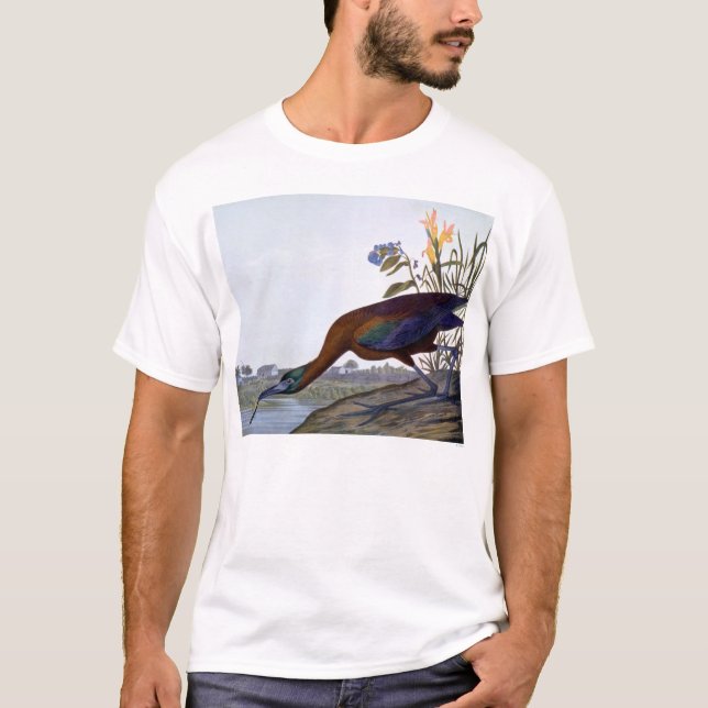 Camiseta Audubon: Íbis lustrosos (Frente)