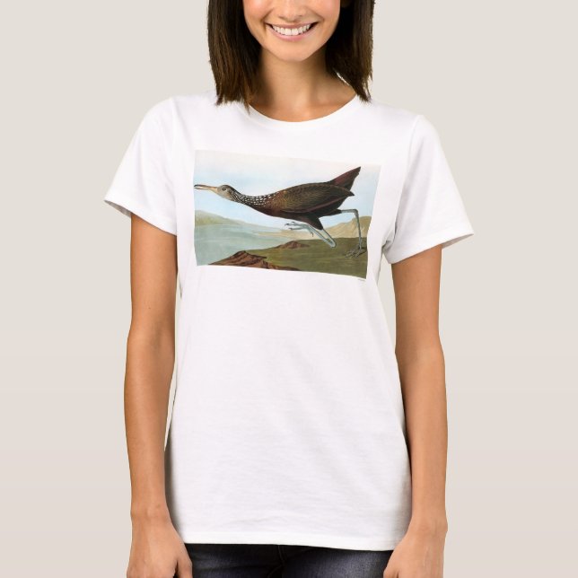 Camiseta Audubon: Limpkin (Frente)