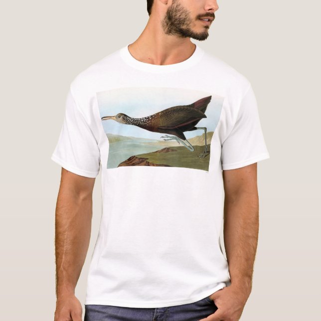 Camiseta Audubon: Limpkin (Frente)