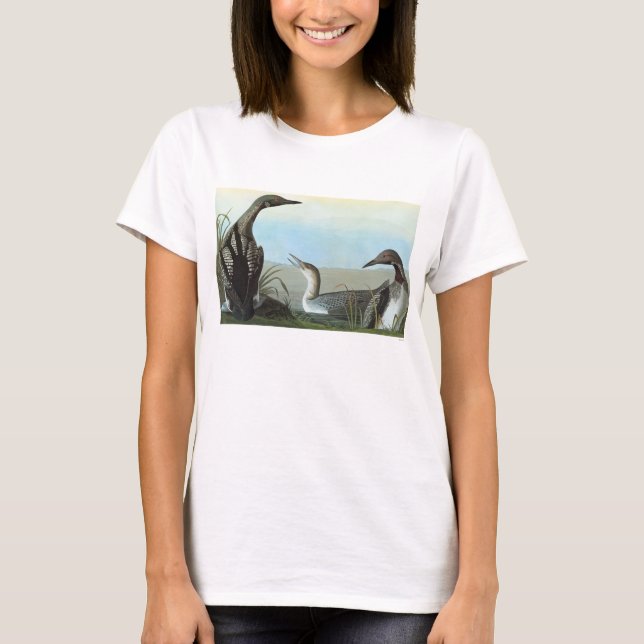 Camiseta Audubon: Mergulhão-do-norte ártico (Frente)