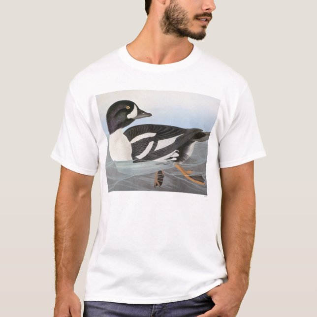 Camiseta Audubon: O Goldeneye do carrinho de mão (Frente)