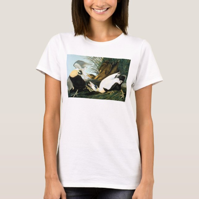 Camiseta Audubon: Pato de êider (Frente)