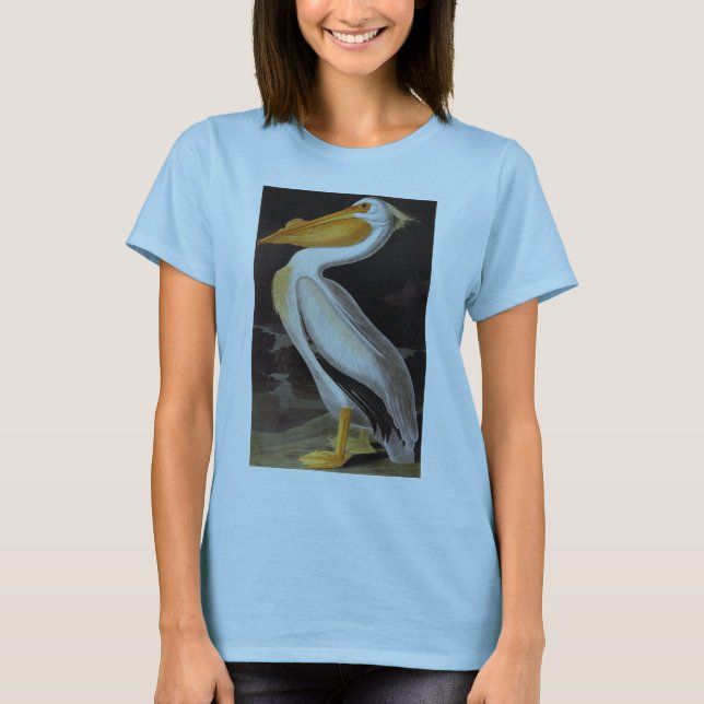 Camiseta Audubon: Pelicano branco Excelente (Frente)
