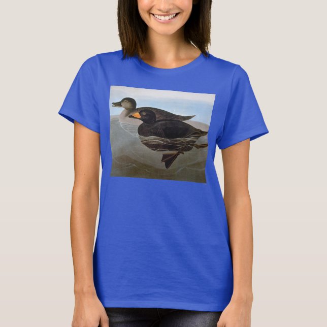 Camiseta Audubon: Scoter Preto (Frente)