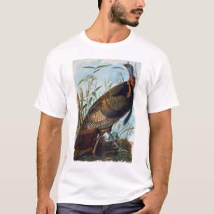 Camiseta Audubon: Turquia selvagem