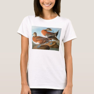 Camiseta Audubon: Wigeon