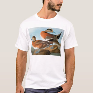 Camiseta Audubon: Wigeon