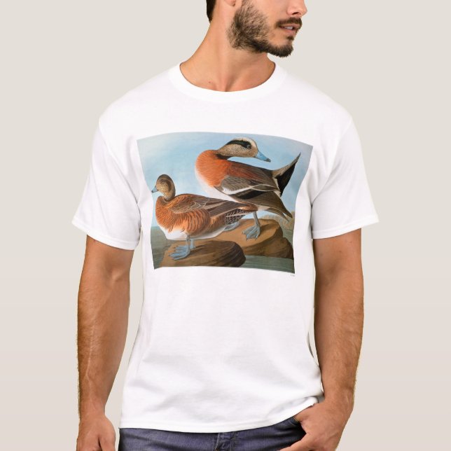 Camiseta Audubon: Wigeon (Frente)