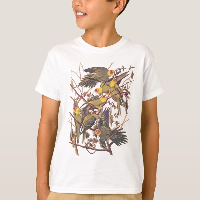 Camiseta Audubon's Carolina Parakeet (Frente)