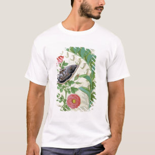 Camiseta Aumentou e o Polygonatum