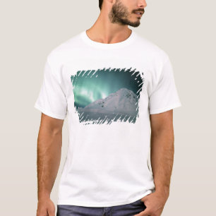 Camiseta Aurora Boreal, perto de Palmer, 17/18 de janeiro,