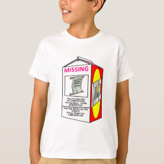 Camiseta Ausente: CONSTITUIÇÃO DOS EUA