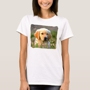 Camiseta Austin o Labrador dourado