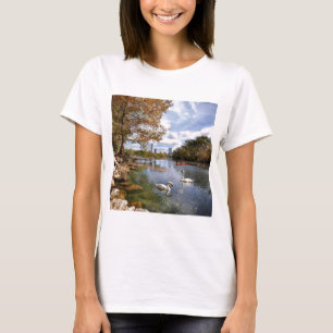Camiseta Austin, Texas Barton Creek / Ladybird Lake Swans