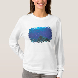 Camiseta Austrália, Grande Barreira de Coral. Enxame de Rox