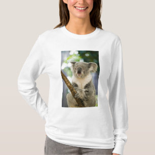 Camiseta Austrália, Queensland, Brisbane, Fig Tree