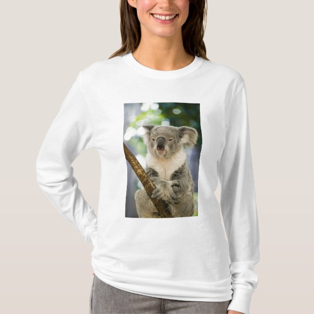 Camiseta Austrália, Queensland, Brisbane, Fig Tree (Frente)