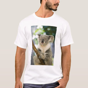 Camiseta Austrália, Queensland, Brisbane, Fig Tree