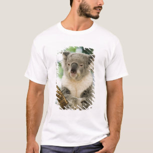 Camiseta Austrália, Queensland, Brisbane, Fig Tree