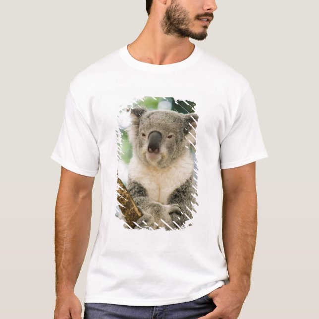 Camiseta Austrália, Queensland, Brisbane, Fig Tree (Frente)