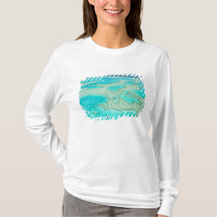 Camiseta Austrália, Queensland, Costa de Whitsunday, Grande
