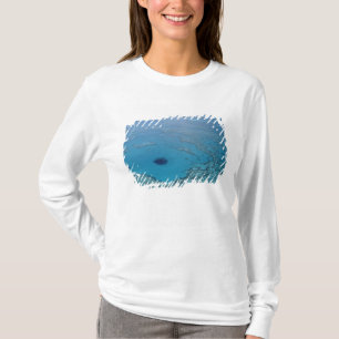 Camiseta Austrália, Queensland. Grande Barreira de Coral