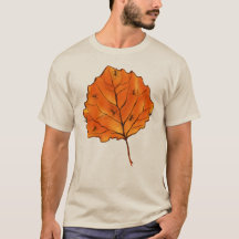 Autumn Leaf Orange Nature Lover